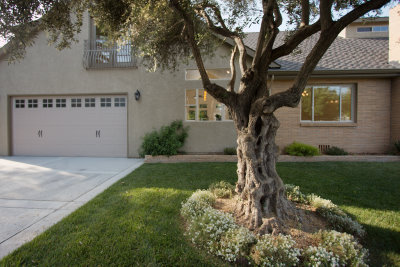 sacramento house for rent land park